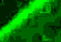 starting the day with protein shake for my mature lady