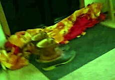 Neighbors Wife Deepthroats My Monster Cock Then Bounces Her Wet Pussy!