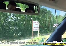 Hitchhiking couple fucks outdoors while driver films every thrust