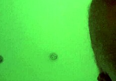 Lady plays hard with madame's sex toys in solo session