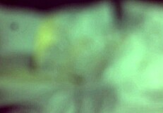 blair's pov casting with anal pounding blowjob and pussy fuck 😈