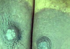 Plump cam girl shakes massive ass and tits