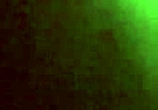 Secretaria Riding Cock with Hot Sentones Action