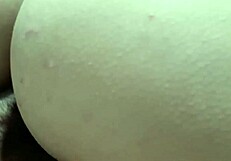 Petite sheila bends over doggystyle in carioca motel room