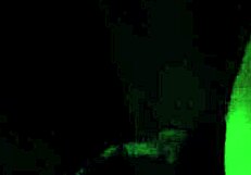 i'm sucking this huge cock rough and deep in the dark