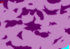 Digimon Adventure 2020 Episode 34 with Full Spanish Subtitles in Fantasy Style