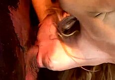 i wake up horny with blondes for wild group sex fun