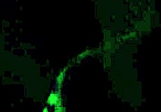 i'm sucking this huge cock rough and deep in the dark