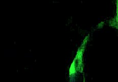 i'm sucking this huge cock rough and deep in the dark