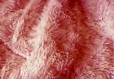 mala dvojka dives into wild fetish fingering fun with european milf vibes