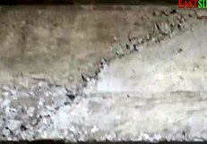 leading the way to surprise you beyond what you expect