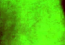 Shower Squirting Babe Drips Wet After Bathing for Intense Fun Session