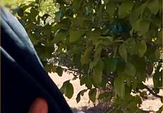 Hot amateur housewife sneaks outside for amazing public blowjob on hubby's cock