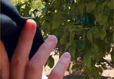 Hot amateur housewife sneaks outside for amazing public blowjob on hubby's cock