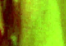 solo pussy squirts nonstop with clothes ripped and cum dripping everywhere