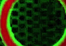 rome major pounds febby twigs pale tits rough!