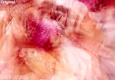 ready for old-school gangbang? sweetie plum's petite frame takes 4on1 dp dvp dap rough