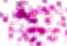 Watch golden blonde chloe take raw rimjob licking her asshole deep from older guy spitting rough