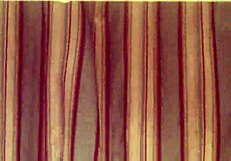 hey cassie hit me up 9172659611 watching my big clit hairy wet pussy solo toilet masturbation