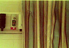 hey cassie hit me up 9172659611 watching my big clit hairy wet pussy solo toilet masturbation