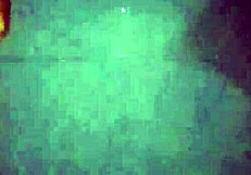 damn that juicy ebony ass begs for pounding!