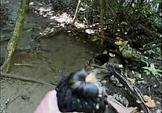 COSTA RICA PUBLIC BLOWJOBS COMPILED FROM GIRLFRIENDS SUCKING OUTDOORS