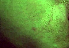 British Granny Anna's Mature Ass Takes Raw Anal Stinging Fun