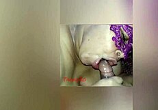 hey fat latina bbw, suck that huge cock and milk every drop out