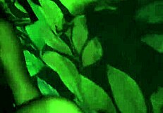 Nasty Filipina Slut Fucked Hard Big Ass Cum Covered Blowjob