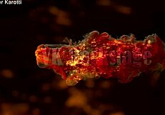 backstage vk uncensored kami yammy takes piss dap dp three cocks