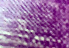 petite mia bandini wakes to hard morning pounding and cumshots covering her tiny body pov