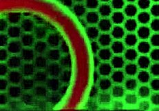 busty exotic blonde milf kisses licks rides rome majors huge black cock hard