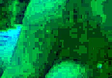 Indonesian babe quick fuck before husband arrives pulsing pussy tight and wet