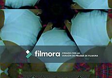 Her moans drive me wild masturbating my wife