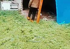 Mi novia deepthroats on balcony patio, irreversible sin throat gag update 95