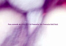 Fucking my girlfriend's tight pussy till she squirts hard!