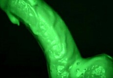 wanna feel my sticky gloves sliding on your cock tease?