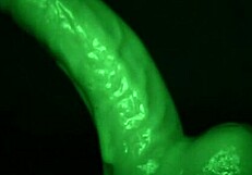 wanna feel my sticky gloves sliding on your cock tease?