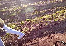 Skinny slut girlfriend flashes then gets anal fucked in woods dorm