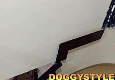 Moaning wildly as boss bangs me hard making me cum