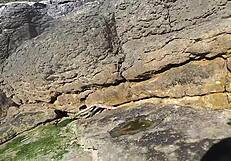 African prostitute shows off her juicy ass on nudist beach