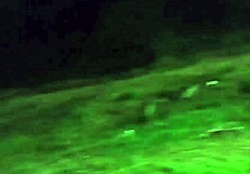 Brazilian Trans Captain Piça Bends Over for Outdoor Car Cumshot Ass Pounding