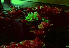 Juicy Strawberry Crushed Under Cute Wrinkled Bare Toes Closeup