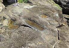 African prostitute shows off her juicy ass on nudist beach