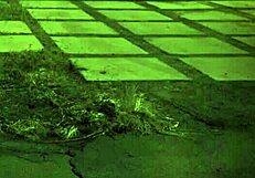 imagine getting caught masturbating then dominated hard unless you obey