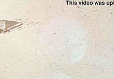 Jazmin's Skirt Hides Curvy Ass Shaking in Awesome Bodysuit Photoshoot?