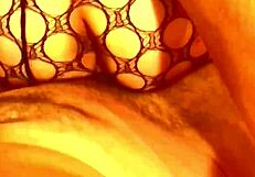 Sexy lingerie girl bends over showing asshole in fishnets thong for monster cock anal blowjob