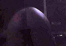 jiji gold shakes her cute sexy teen ass twerk style