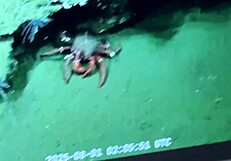 stepdad's huge cock anal creampies chubby argentinian girl to shaking orgasm