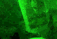 jiji gold shakes her cute sexy teen ass twerk style